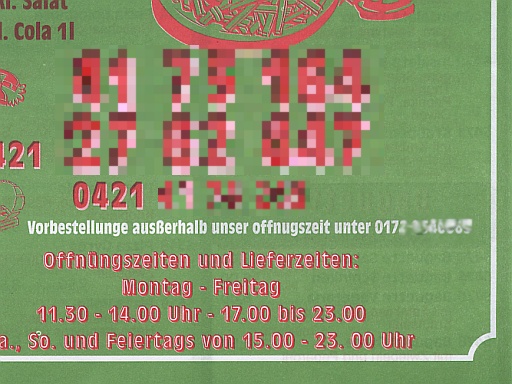 Flyer eines Pizza-Bringdienstes - 01.07.2008