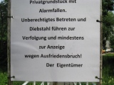 Altenbrak / Harz (13.07.2013) - Bild 12/24