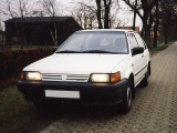 Bei Oldenburg (Januar 1994) - Bild 20/20