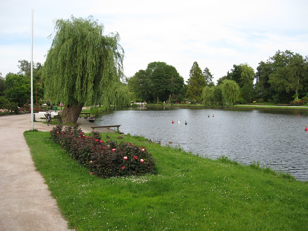 Panoramio-Archiv : Rosarium - Uetersen - 06.2009