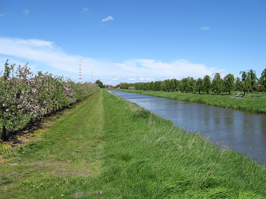 Panoramio-Archiv : Apfelblte - Hollern - 05.2010