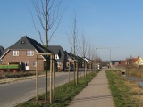 An der Kuhweide - Borgfeld, Bremen (03.2009) - Bild 14/87