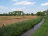 Landwirtschaftliche Nutzflche am Jan-Reiners-Weg - Borgfeld, Bremen (04.2009) - Bild 38/87