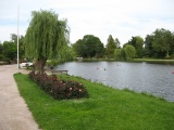 Rosarium - Uetersen (06.2009) - Bild 61/87