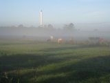 Khe im Frhnebel - Lehesterdeich, Horn-Lehe, Bremen (09.2009) - Bild 70/87