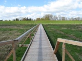 Blick vom Holzsteg des Salzwiesenlehrpfads landeinwrts - Cciliengroden (04.2010) - Bild 11/86