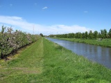 Apfelblte - Hollern (05.2010) - Bild 36/86