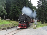 Einfahrt 99 7235 - Schierke (09.2010) - Bild 65/86