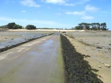 Ile Calot (05.2011) - Bild 18/35