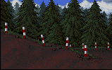 Rally