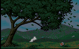 Wind